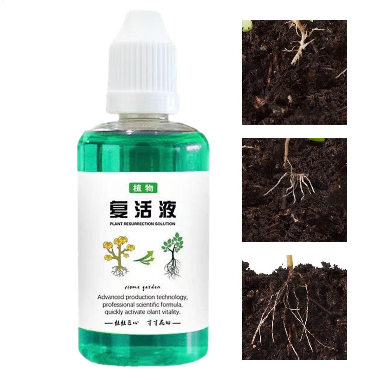 Root Stimulator Liquid - 50ml Wurzelstimulator Pflanzenwiederbelebungsmittel Flüssiger Gemüsedünger Wurzelverstärker