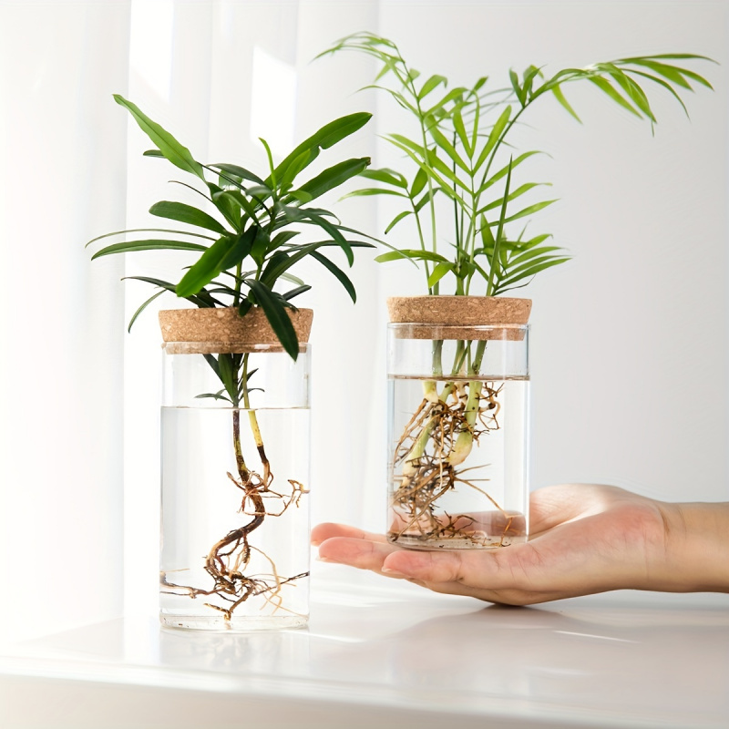 Propagation Station Vase - 1 Stück, Hydrokultur Pflanzen Desktop Glas