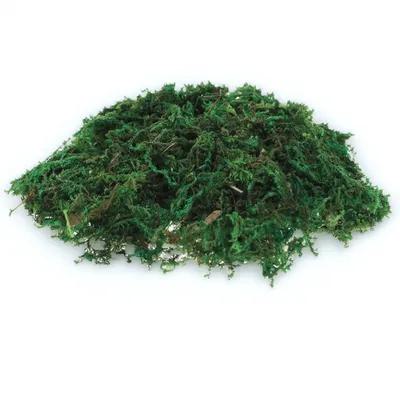 Sphagnum Moss Dry - 1 Packung natürlich aussehendes künstliches Moos