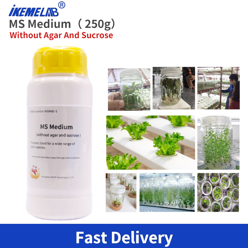 Agar Tissue Culture - IKEME Lab MS Medium 250 g