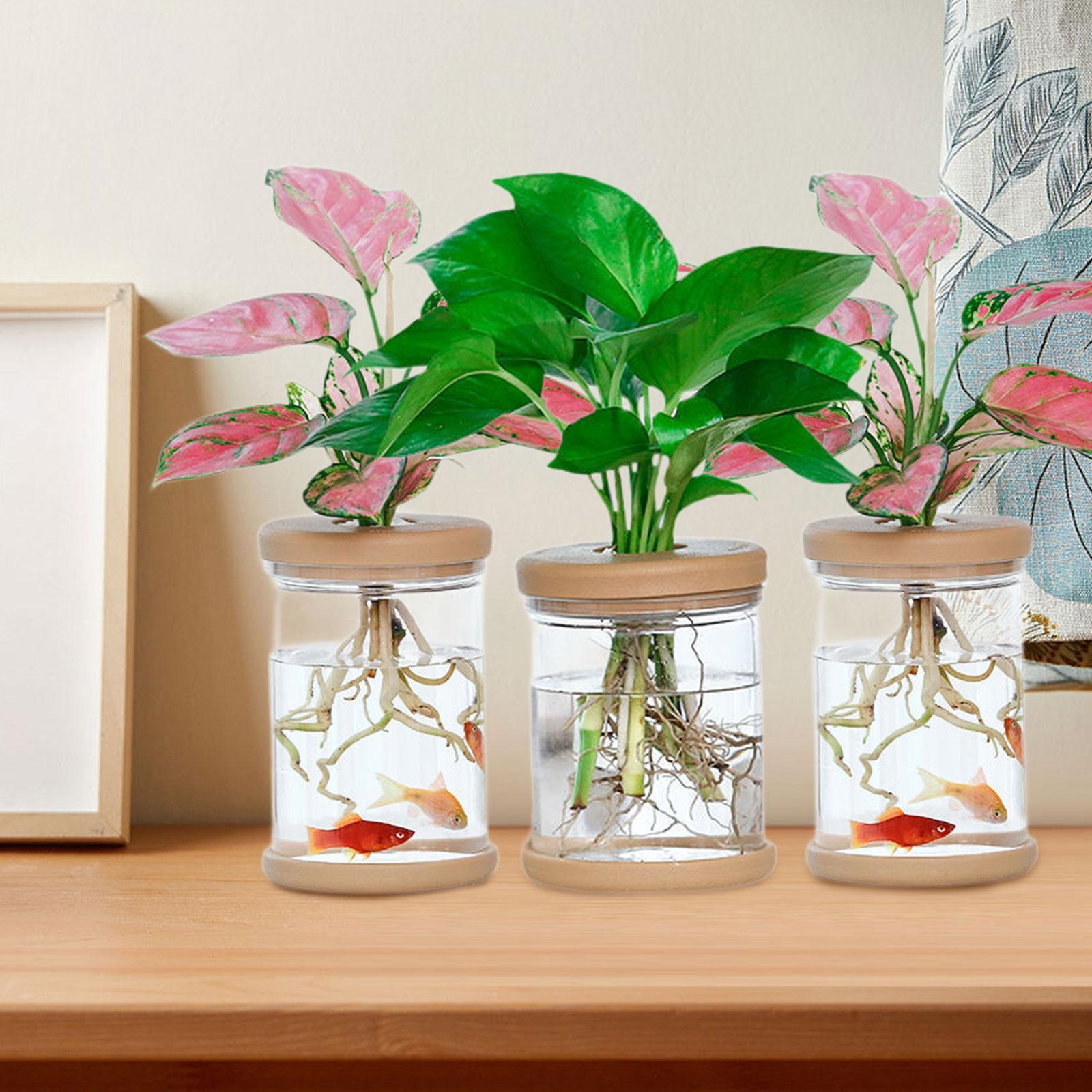 Propagation Station Vase - 3 Stück Hydrokultur-Blumenvasen, dekorative Vasen für