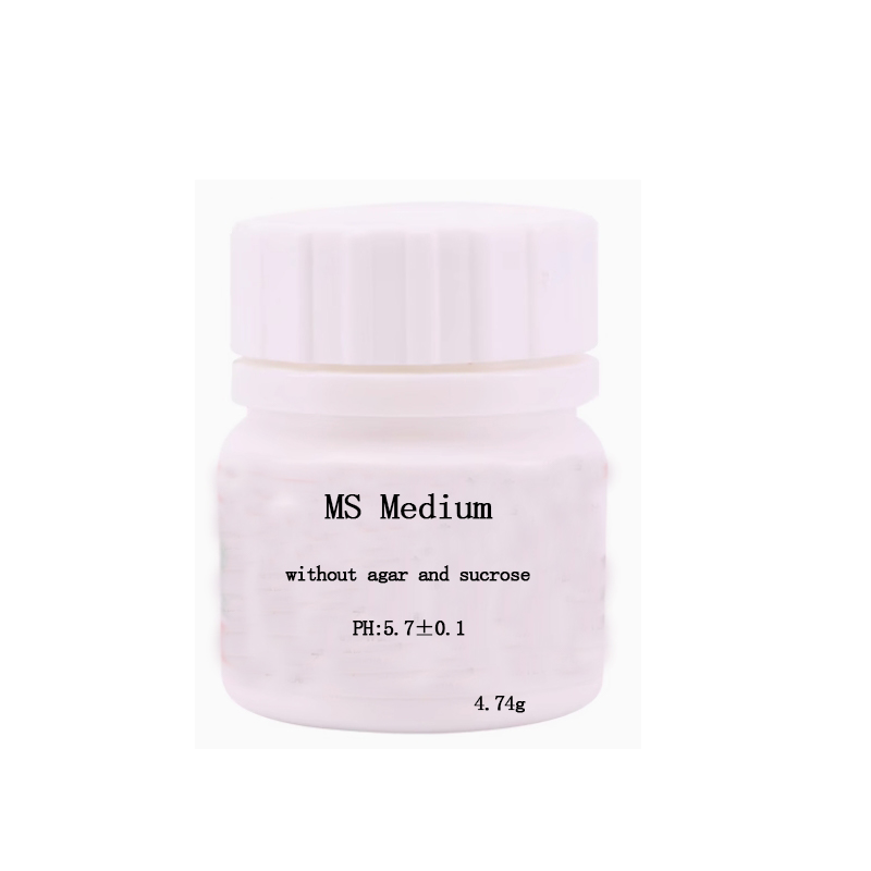 MS Medium ohne Agar oder Sacch – Agar Tissue Culture Bewertung und Preis