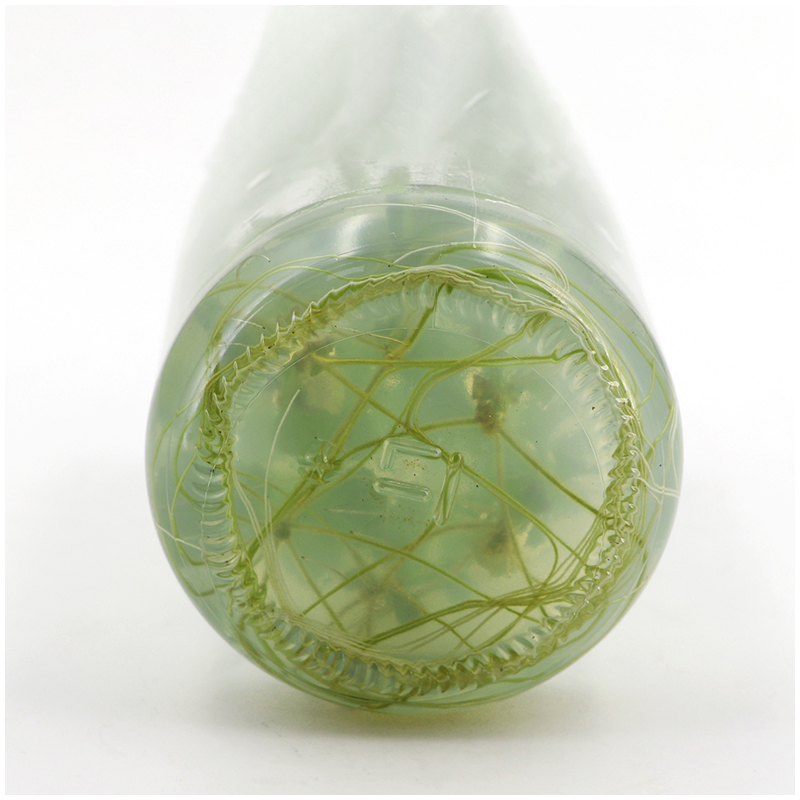 MS Medium ohne Agar oder Sacch – Agar Tissue Culture Bewertung und Preis