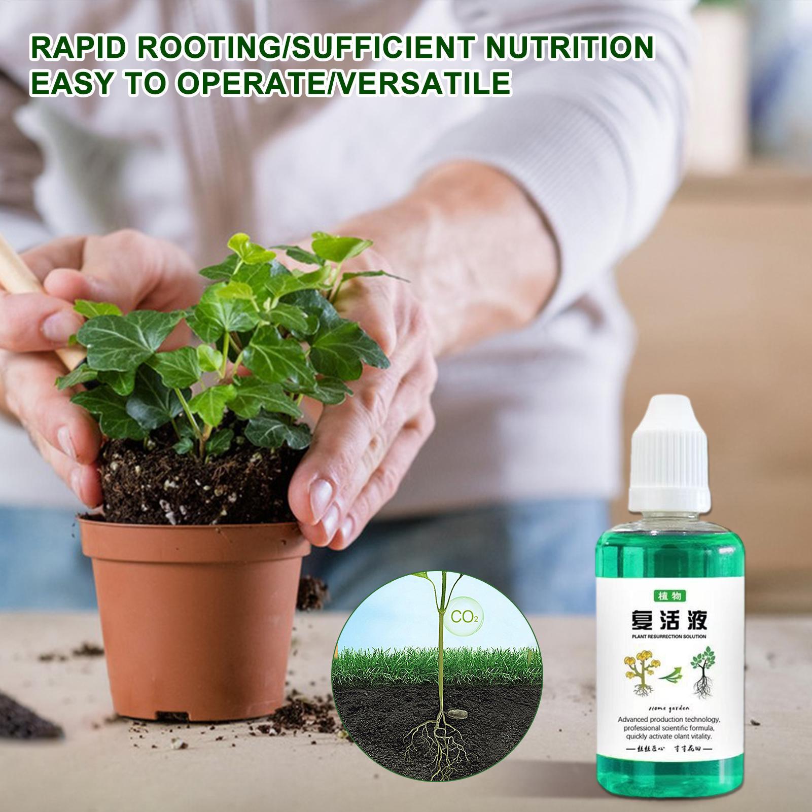 50ml Wurzelstimulator Pflanzen – Root Stimulator Liquid Bewertung und Preis