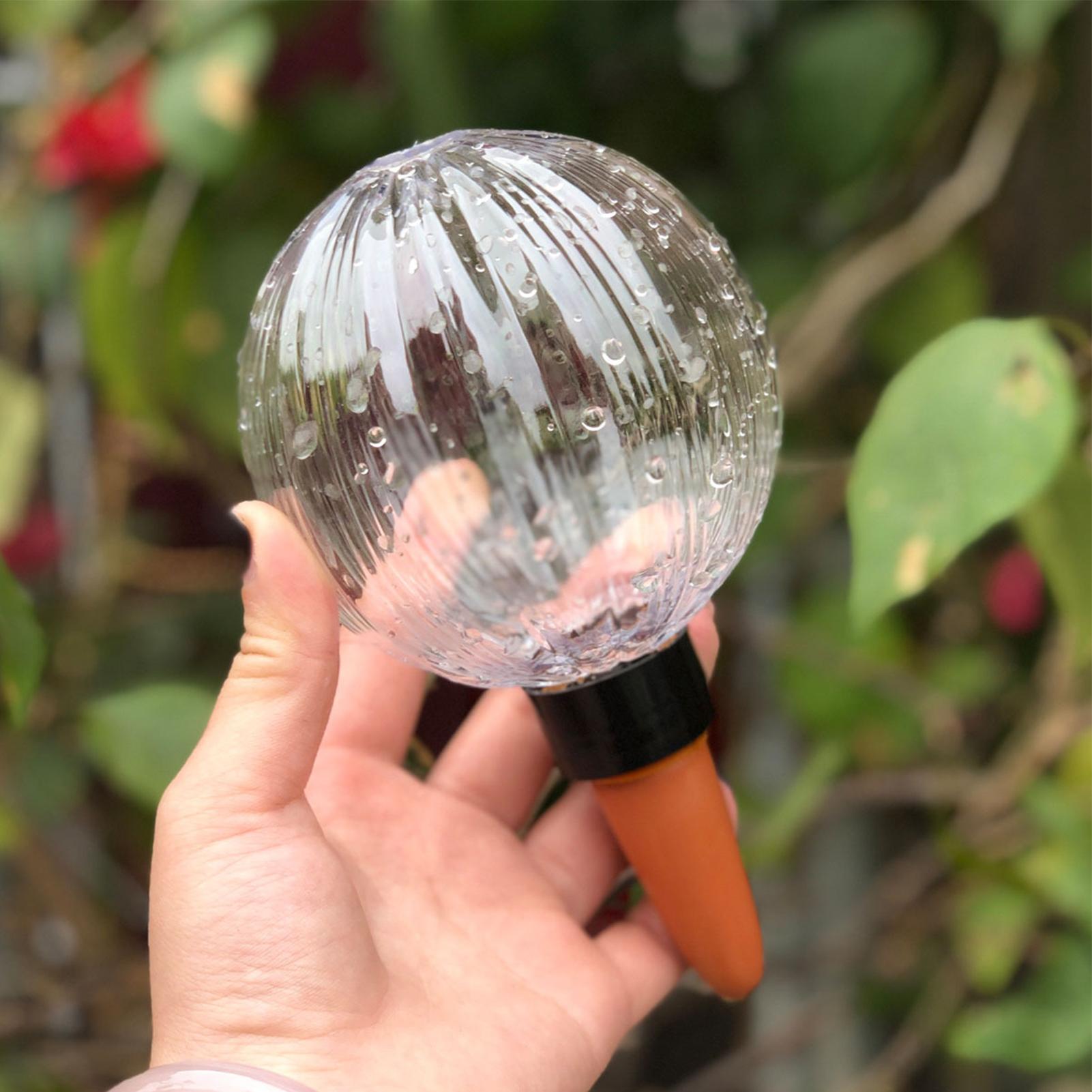 Selbstbewässernder Pflanzenein – Self Watering Insert Bewertung und Preis