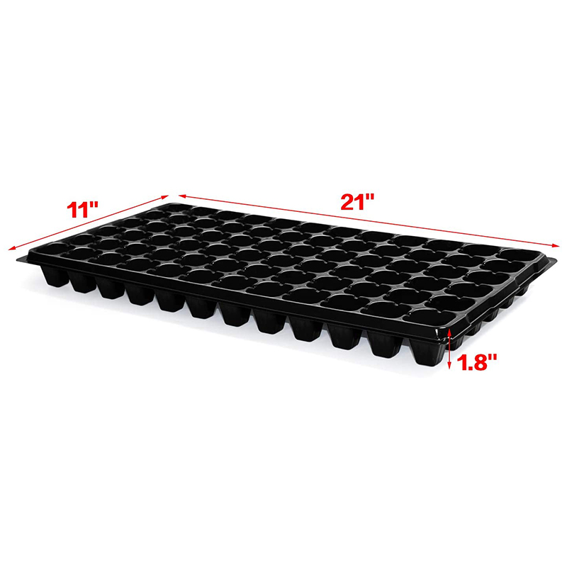 B84B-10-Pack Samen-Starterscha – Propagation Tray 72 Bewertung und Preis