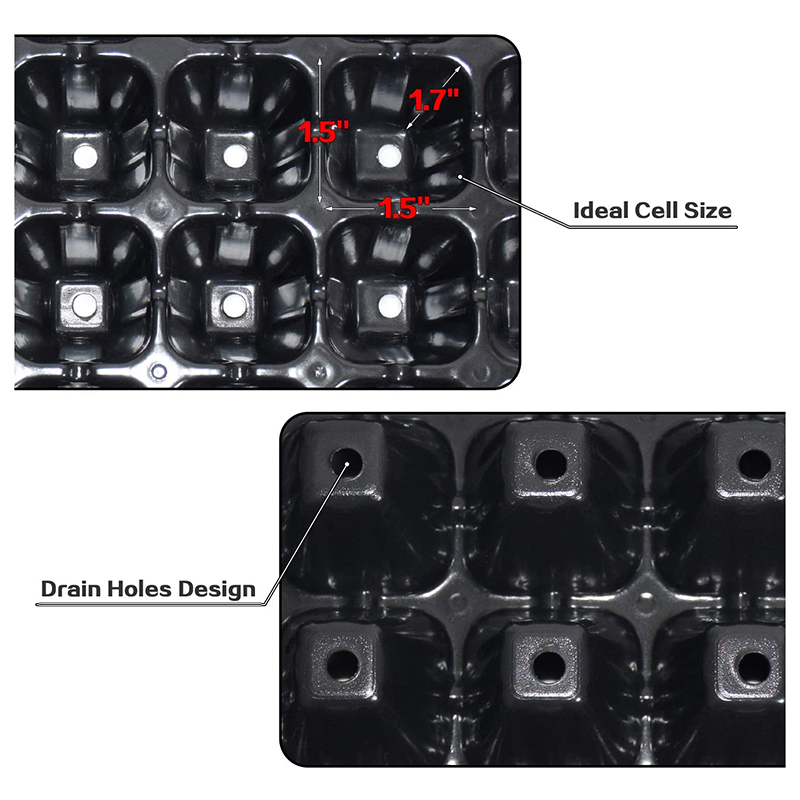 B84B-10-Pack Samen-Starterscha – Propagation Tray 72 Bewertung und Preis