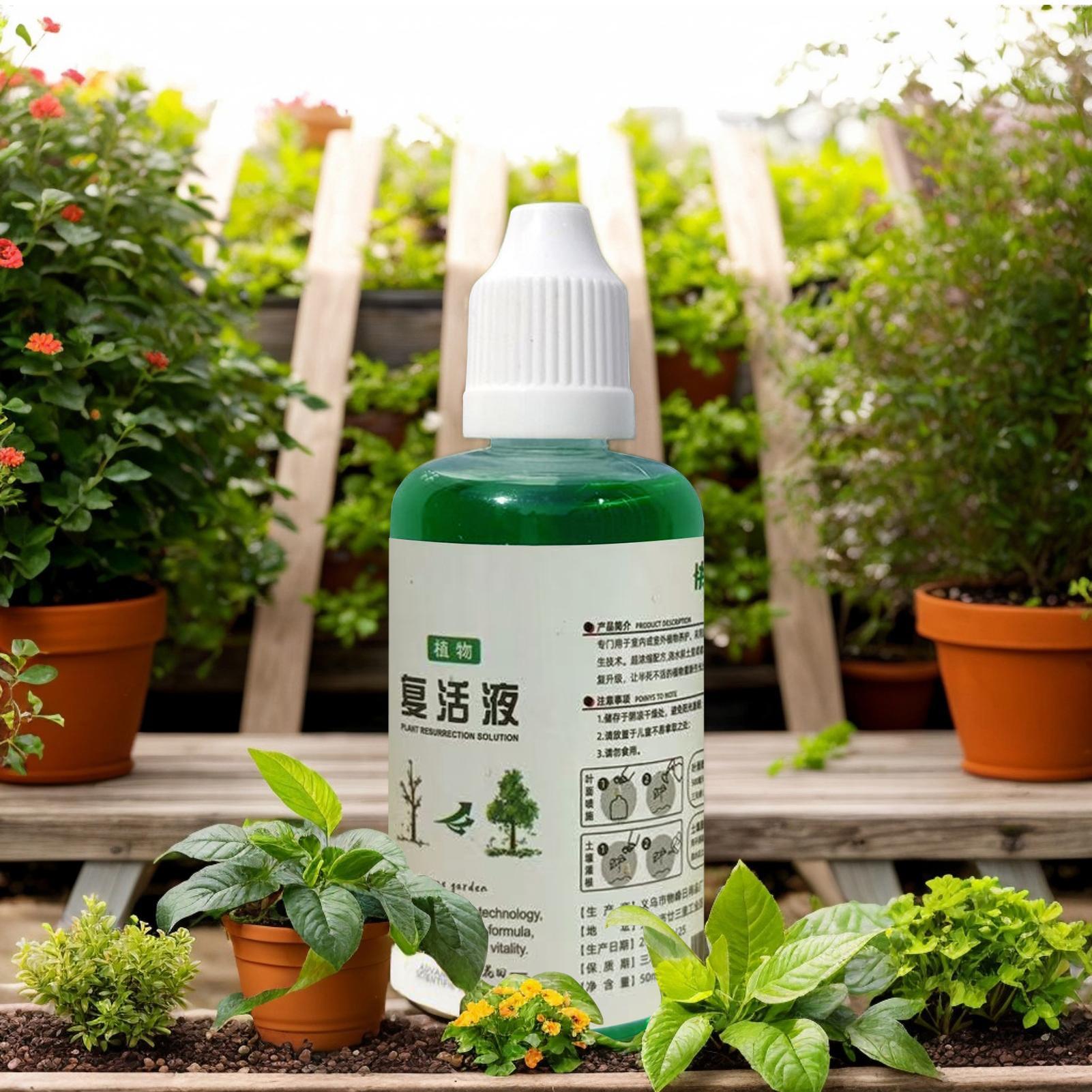 Wurzelstimulator für Pflanzen  – Root Stimulator Liquid Bewertung und Preis