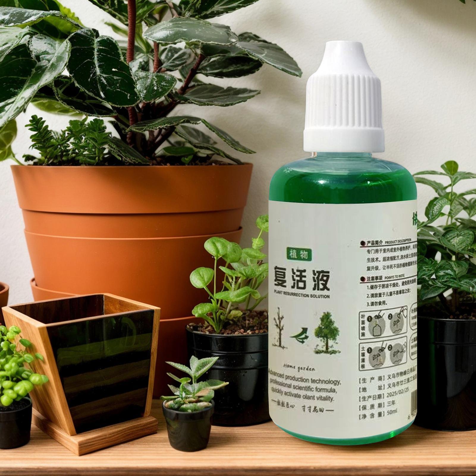 Wurzelstimulator für Pflanzen  – Root Stimulator Liquid Bewertung und Preis