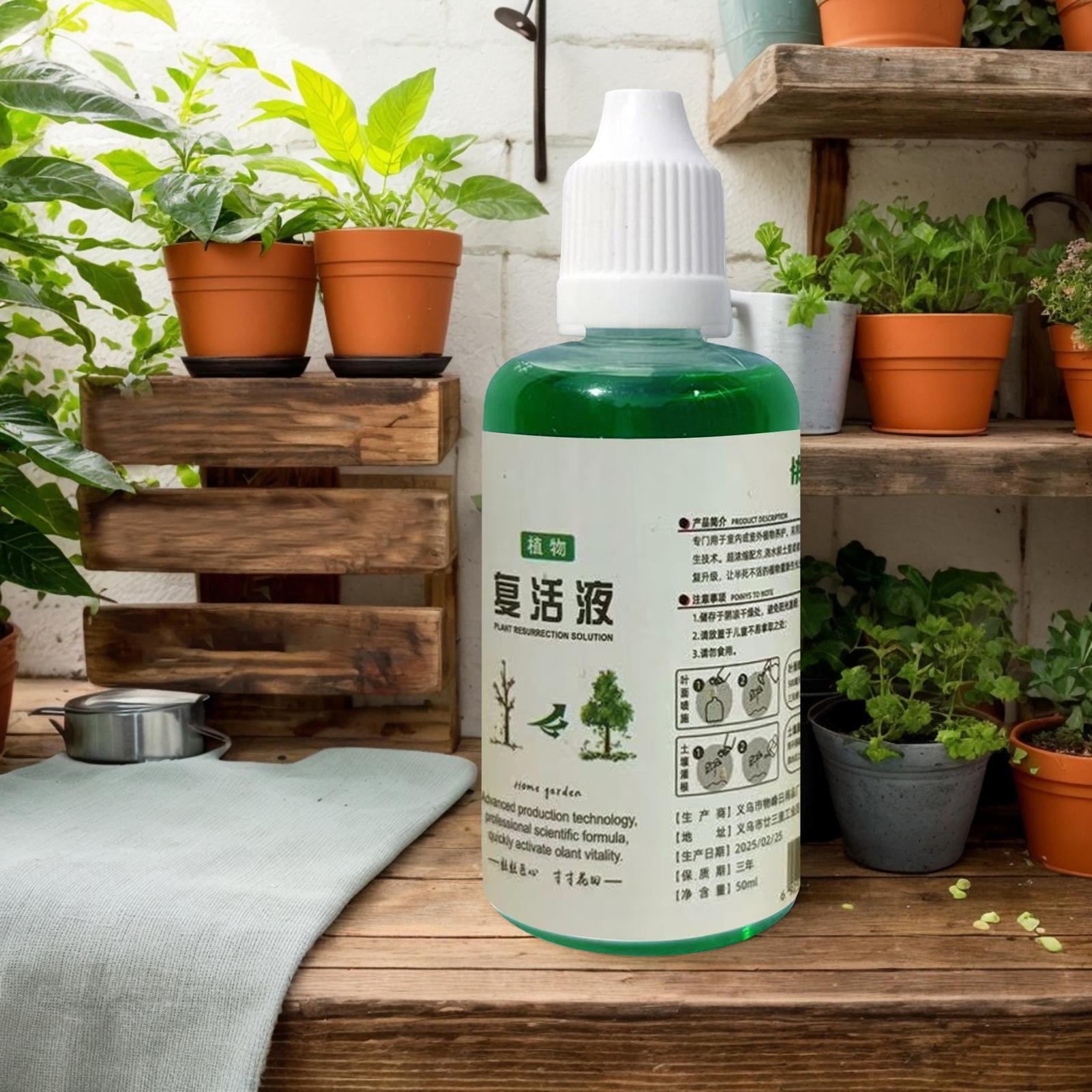 Wurzelstimulator für Pflanzen  – Root Stimulator Liquid Bewertung und Preis
