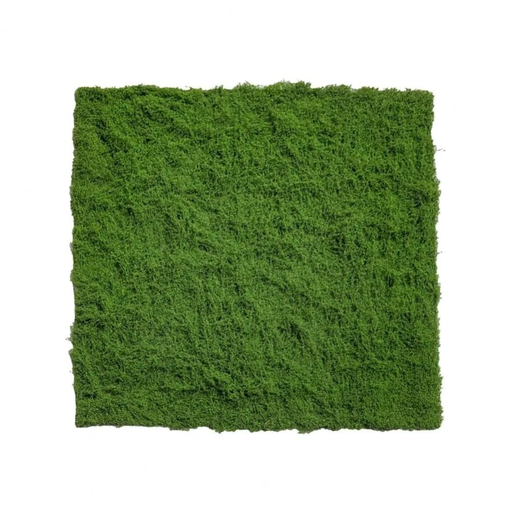 DIY Kunstrasen-Teppich Langleb – Sphagnum Moss Dry Bewertung und Preis