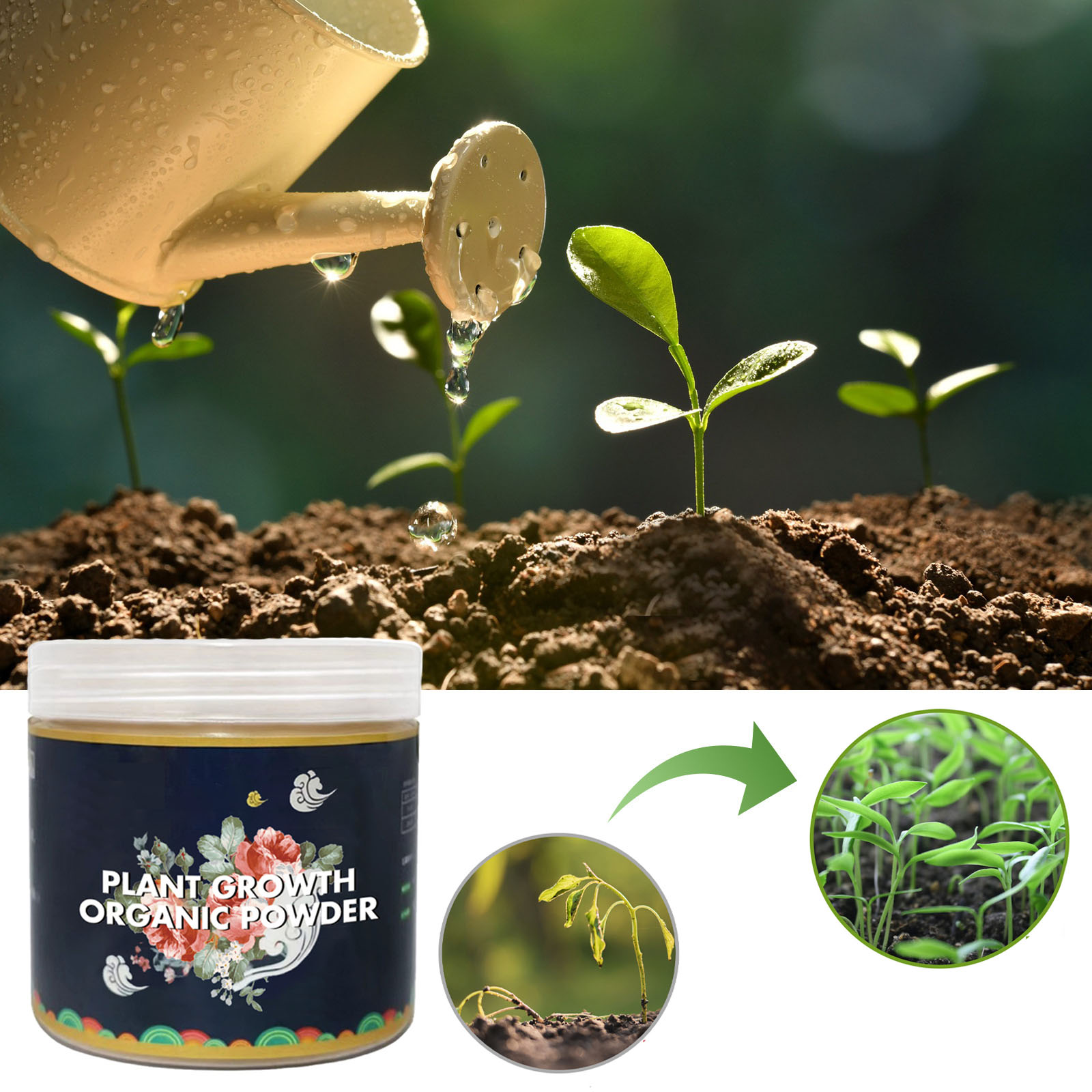 Schnelles Verwurzelungspulver, – Rooting Hormone Powder Bewertung und Preis