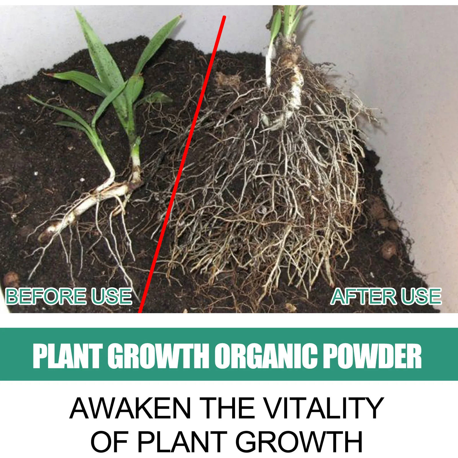 Schnelles Verwurzelungspulver, – Rooting Hormone Powder Bewertung und Preis