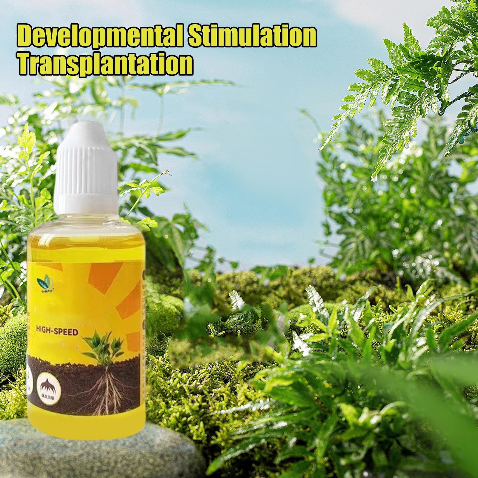 50 ml Pflanzenwurzelstimulator – Root Stimulator Liquid Bewertung und Preis