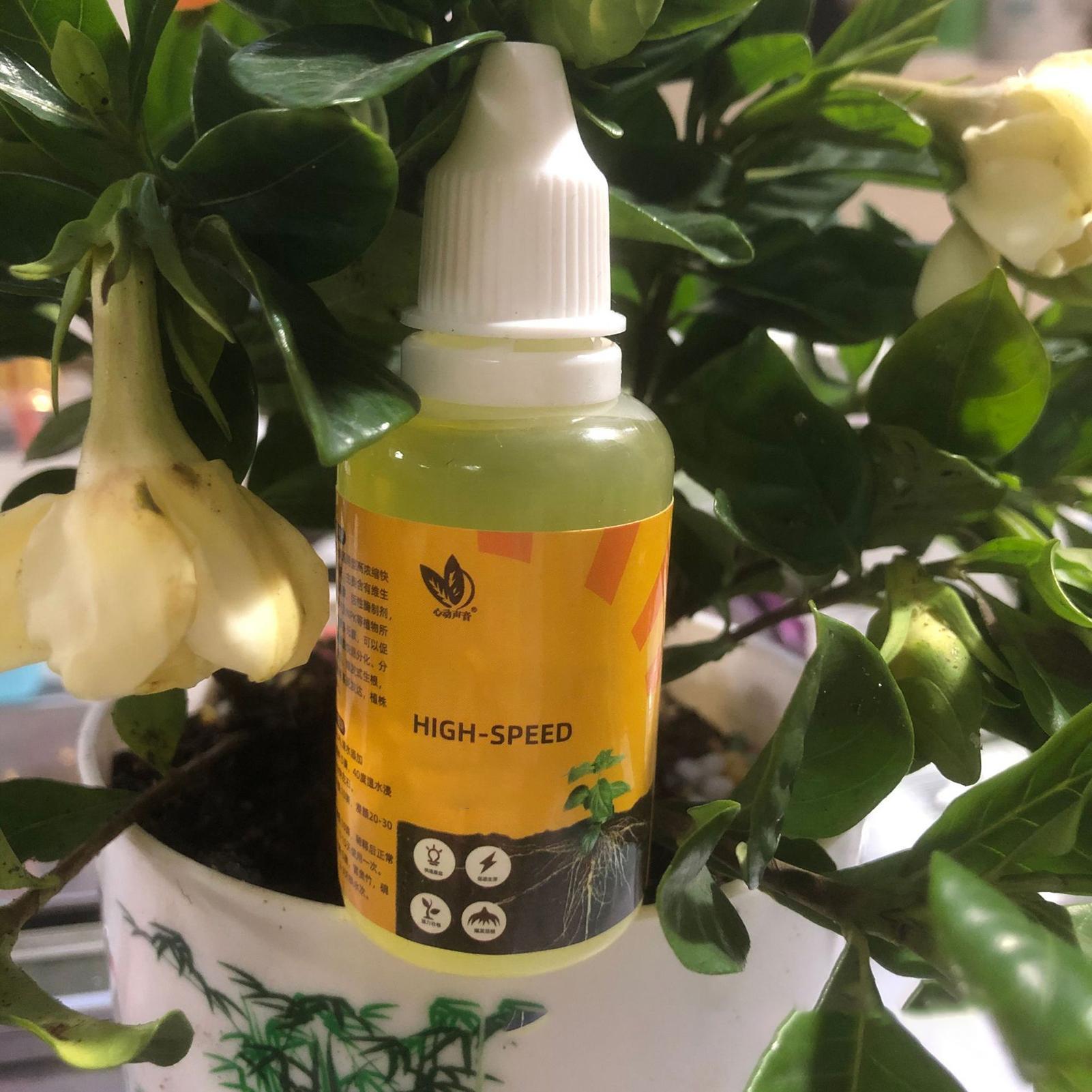 50 ml Pflanzenwurzelstimulator – Root Stimulator Liquid Bewertung und Preis