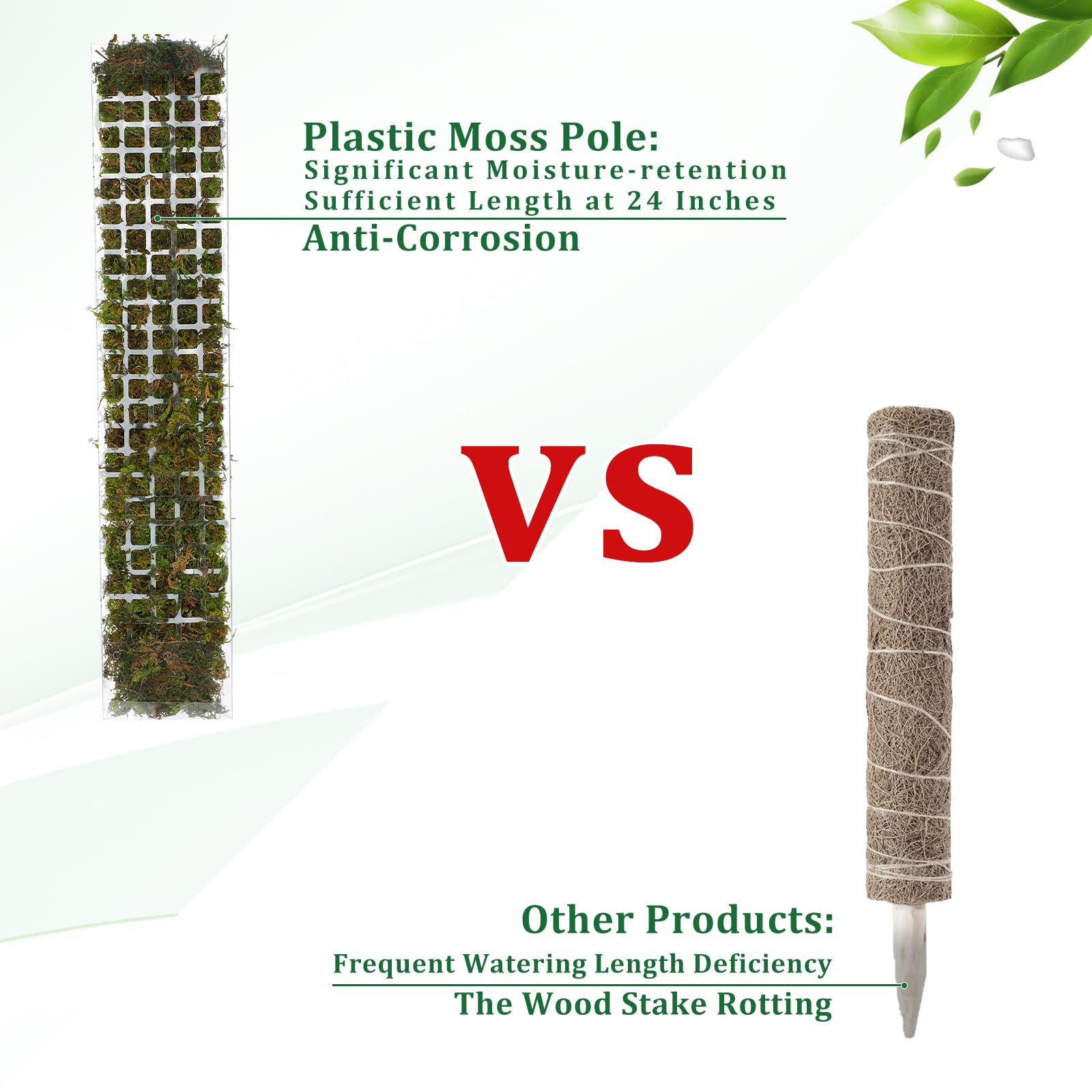 Moos Pole Kunststoff Pflanzens – Sphagnum Moss Dry Bewertung und Preis