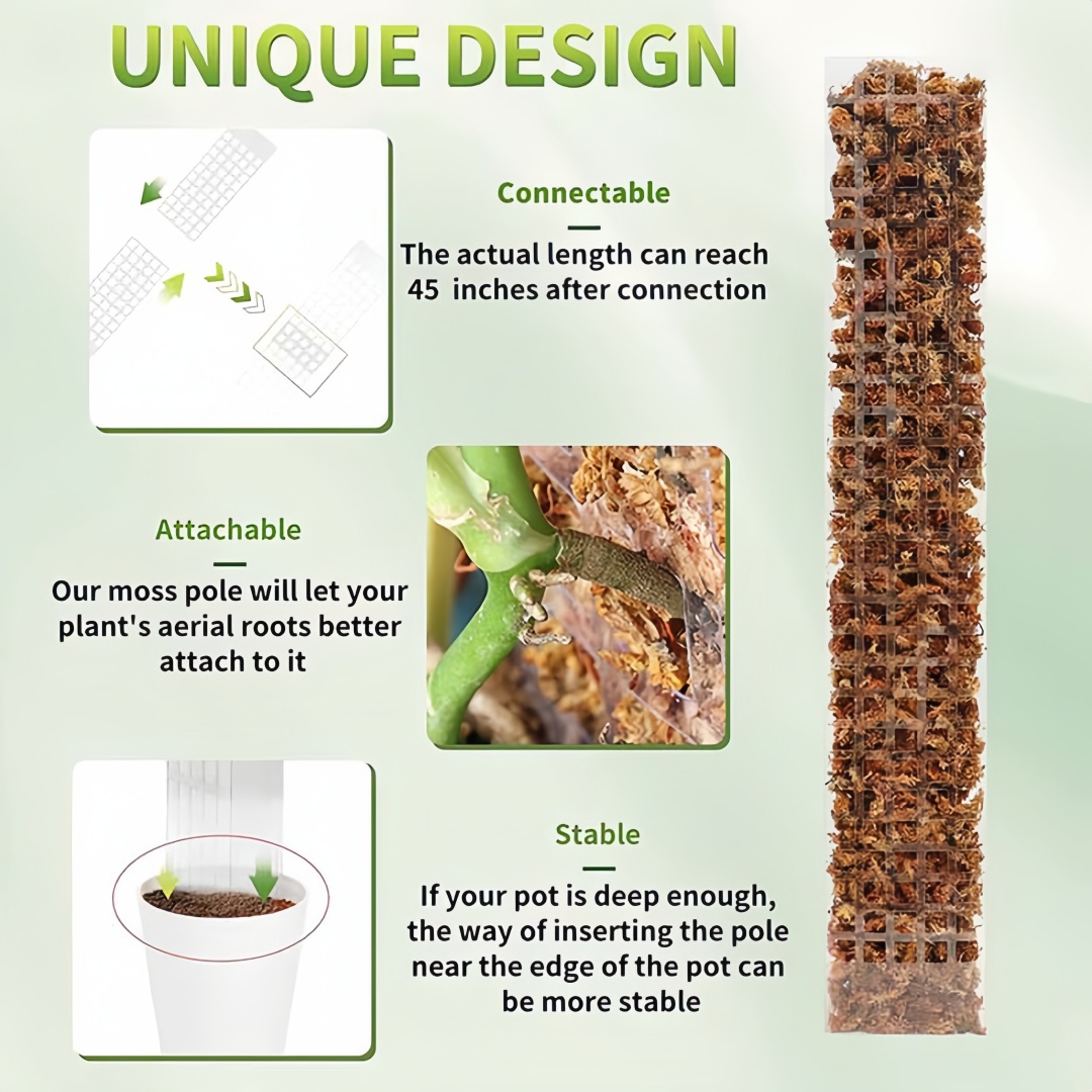 Moos Pole Kunststoff Pflanzens – Sphagnum Moss Dry Bewertung und Preis