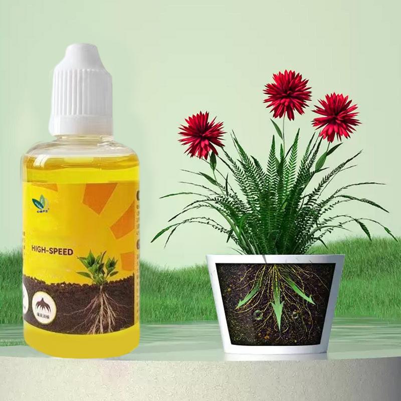 50 ml Pflanzenwurzelstimulator – Root Stimulator Liquid Bewertung und Preis