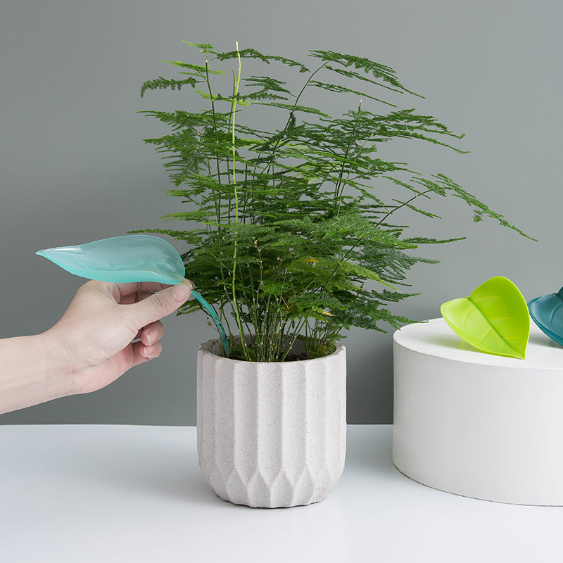 Kreativer Bewässerungs-Trichte – Self Watering Insert Bewertung und Preis