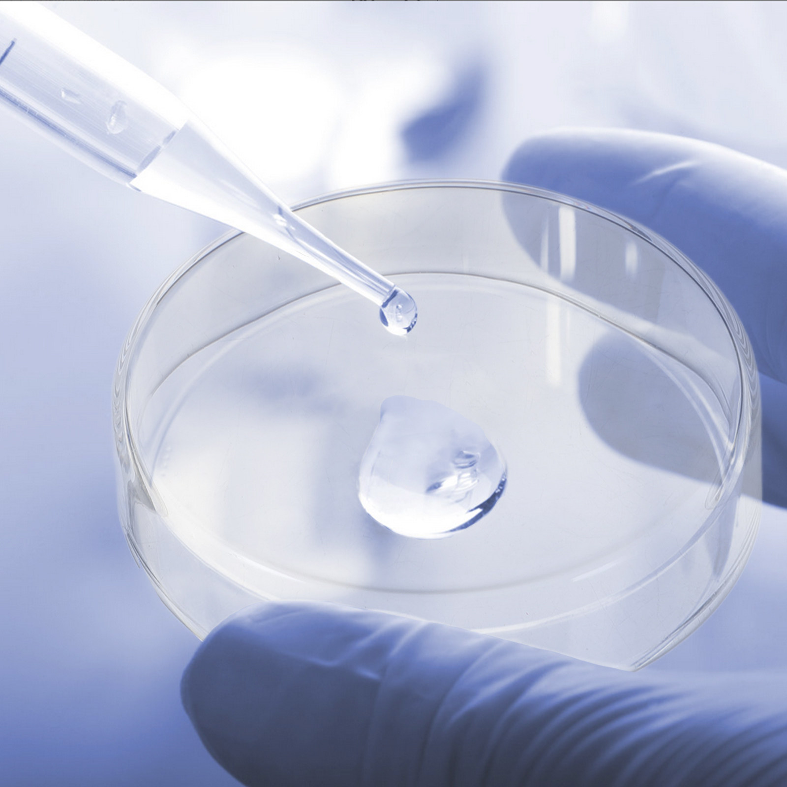 1 Set Verdickte Glas-Petrischa – Agar Tissue Culture Bewertung und Preis