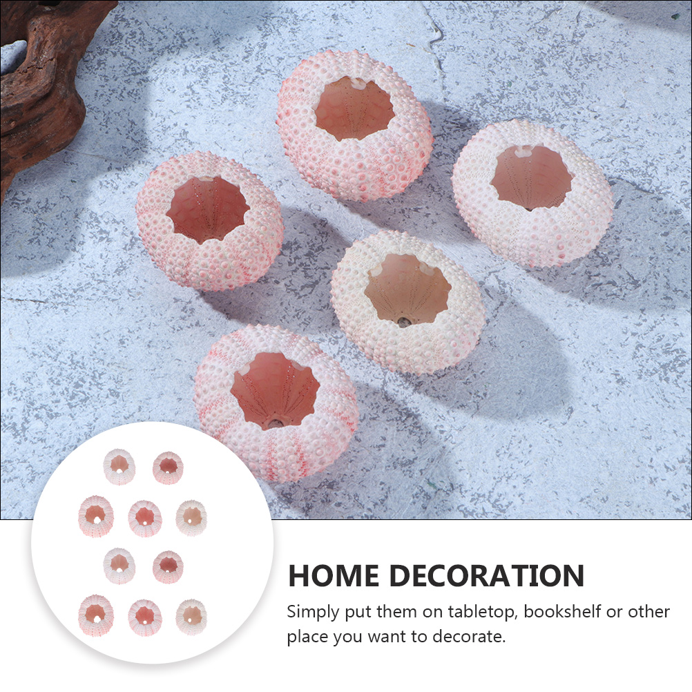 10Pcs DIY Schmuck Machen Meer  – Propagation Station Vase Bewertung und Preis