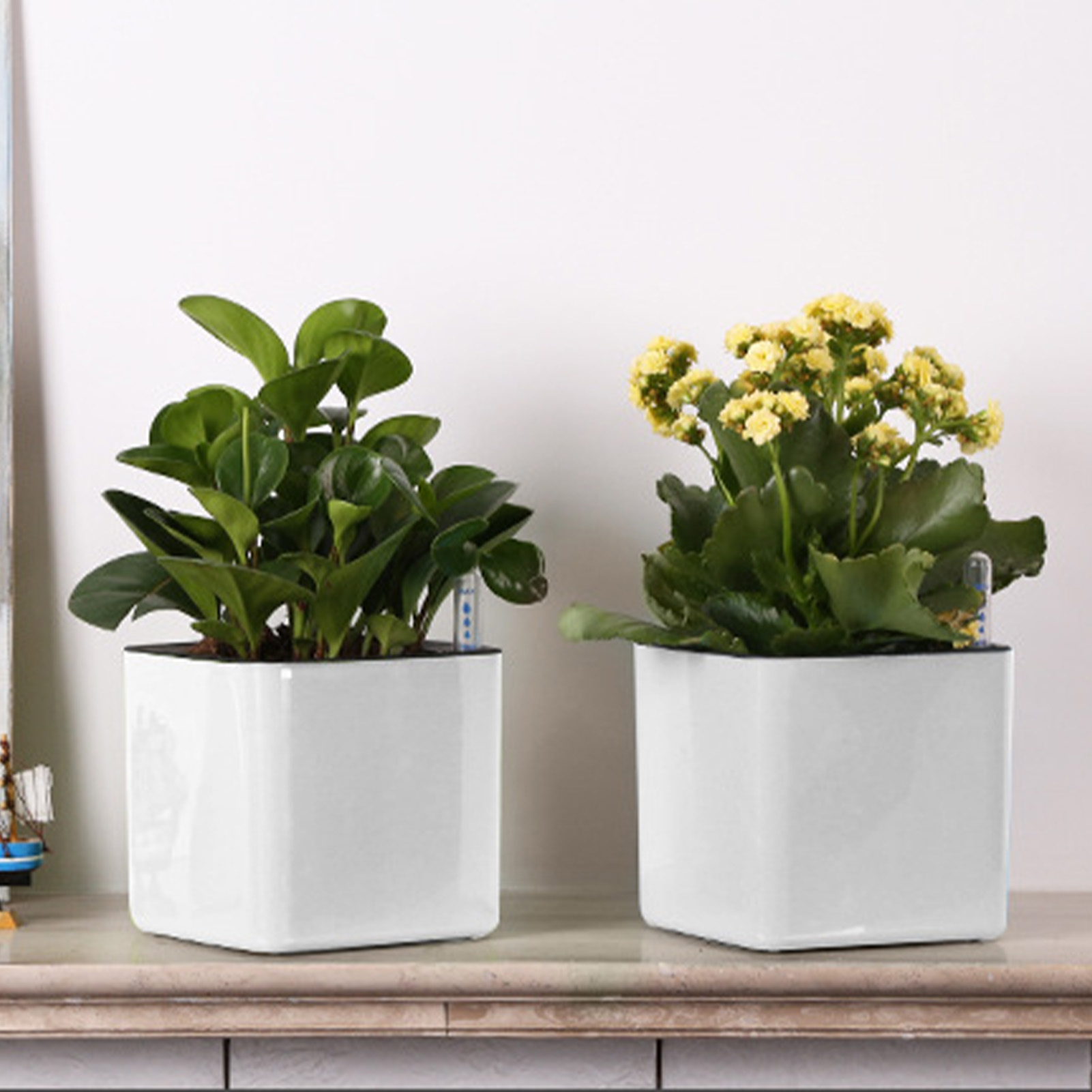 Selbstbewässernder Blumentopf  – Self Watering Insert Bewertung und Preis