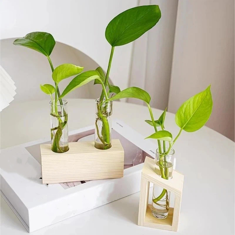 Reagenzglas-Glasvase, Pflanzen – Propagation Station Vase Bewertung und Preis