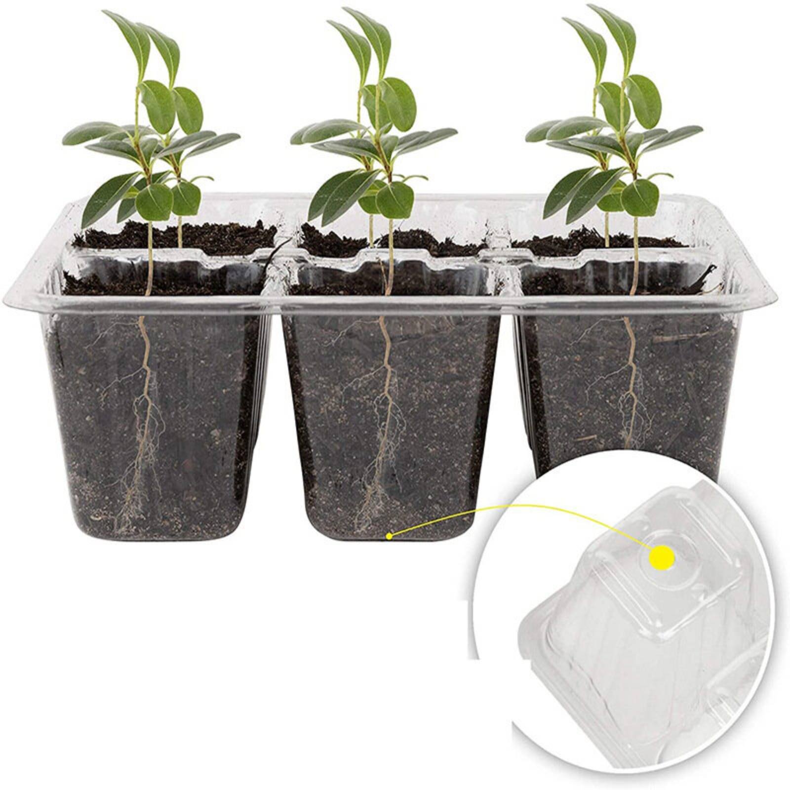 12-Fach Keimschale mit Hochtra – Humidity Dome Kit Bewertung und Preis