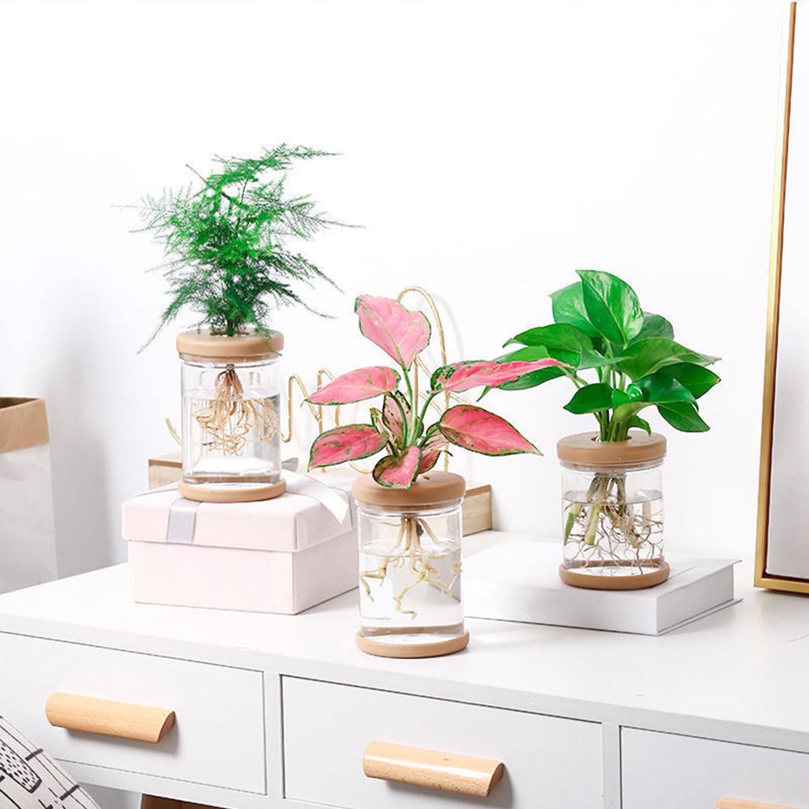 3 Stück Hydrokultur-Blumenvase – Propagation Station Vase Bewertung und Preis