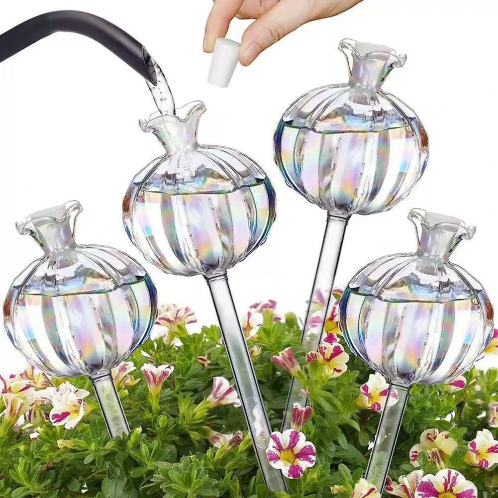 24 cm selbstbewässernde Kaktus – Self Watering Insert Bewertung und Preis