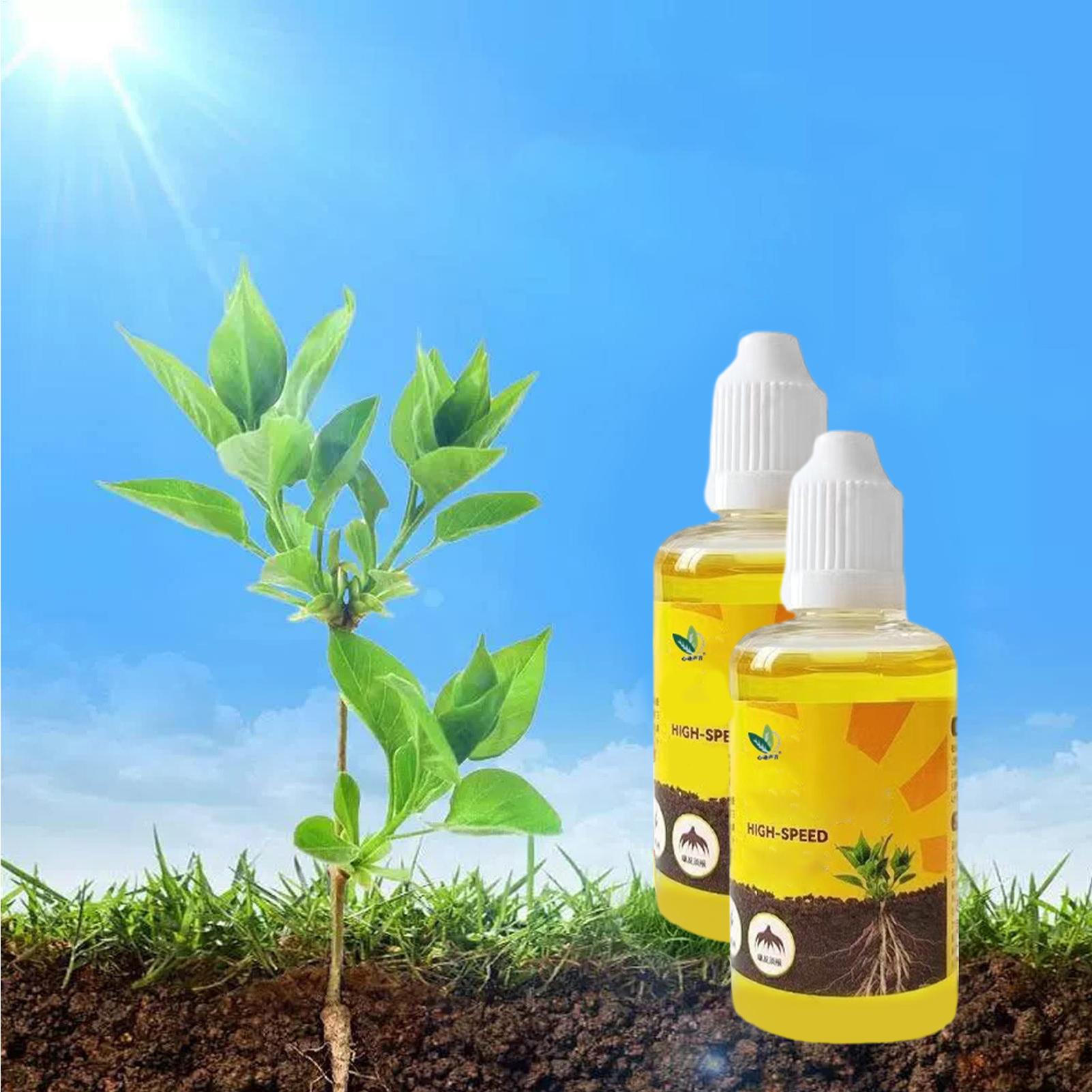 50 ml Pflanzenwurzel-Stimulato – Rooting Hormone Powder Bewertung und Preis
