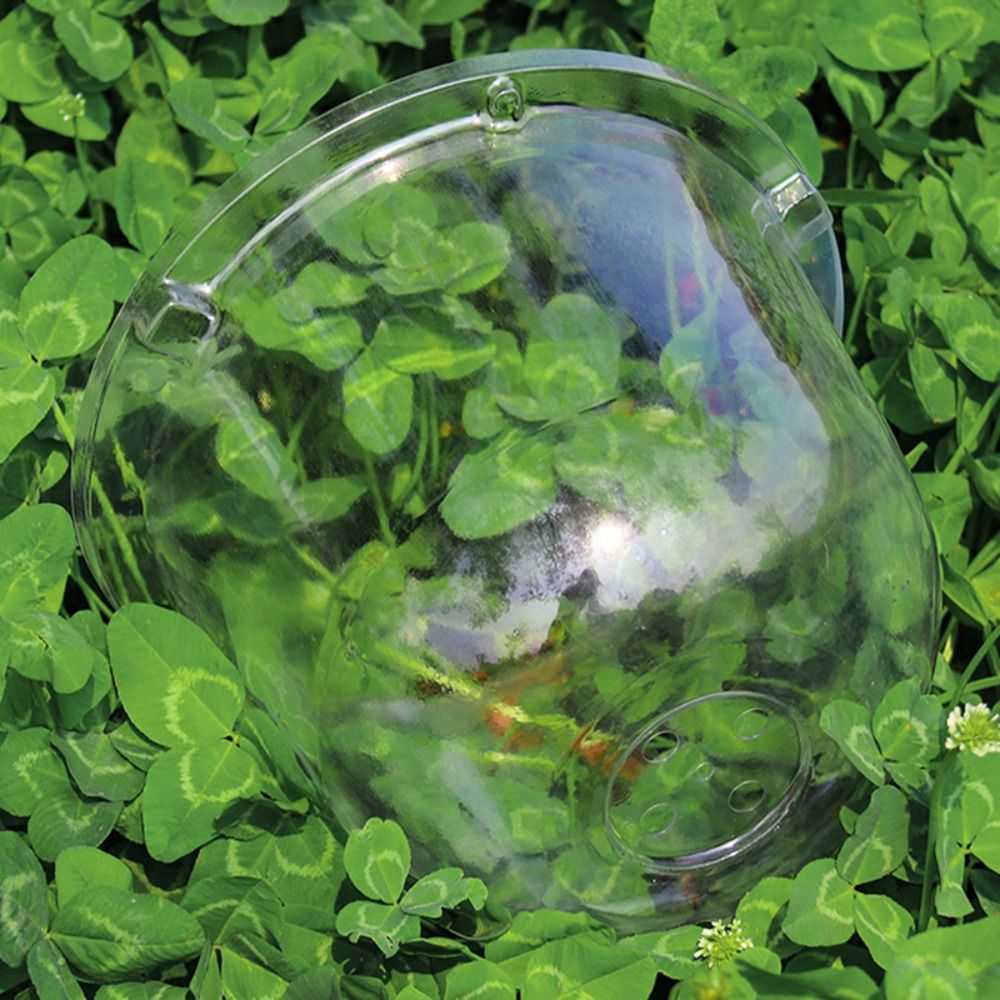 Wiederverwendbare Transparente – Plastic Dome Clear Bewertung und Preis
