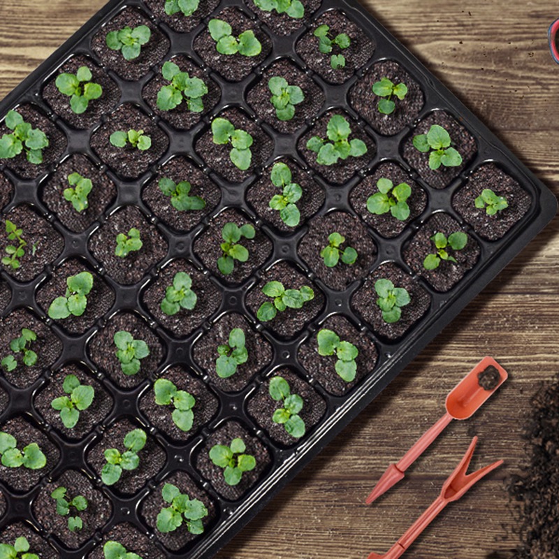ABGH-10-Pack Samen-Starterscha – Propagation Tray 72 Bewertung und Preis