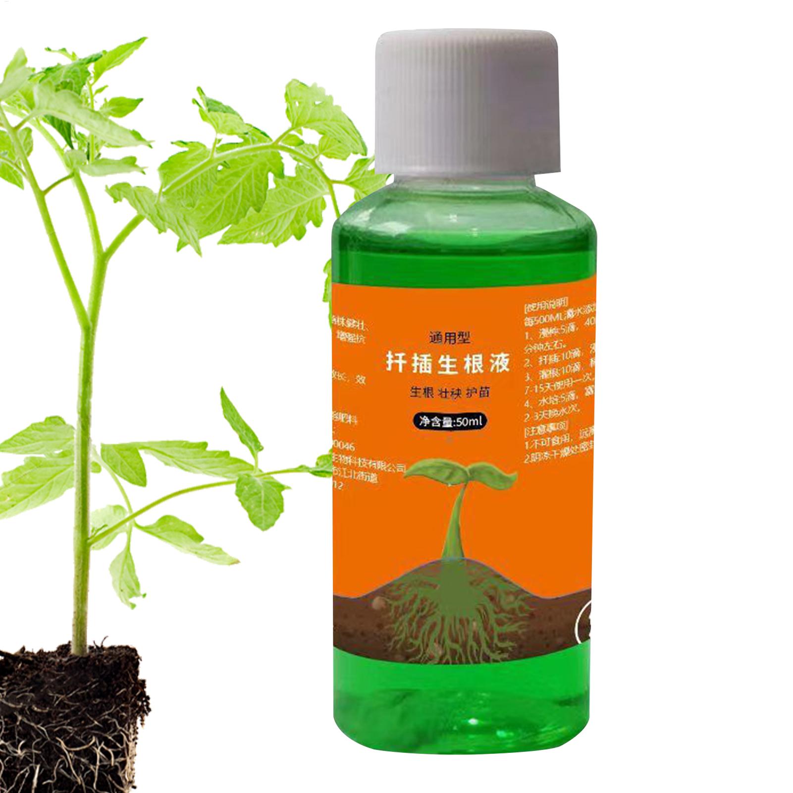 50 ml Transplantations-Nährlös – Root Stimulator Liquid Bewertung und Preis