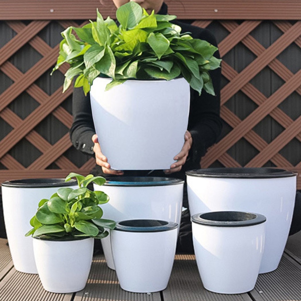 Automatische Bewässerung Blume – Self Watering Insert Bewertung und Preis