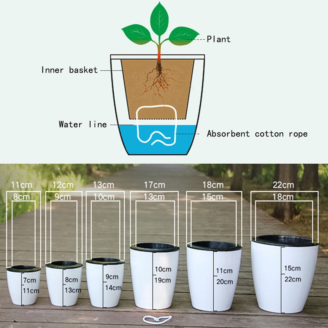 Automatische Bewässerung Blume – Self Watering Insert Bewertung und Preis