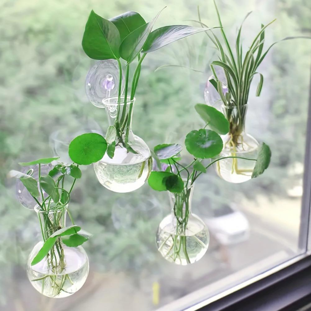 1/2/3/4/6/8 Stück Pflanzenverm – Propagation Station Vase Bewertung und Preis