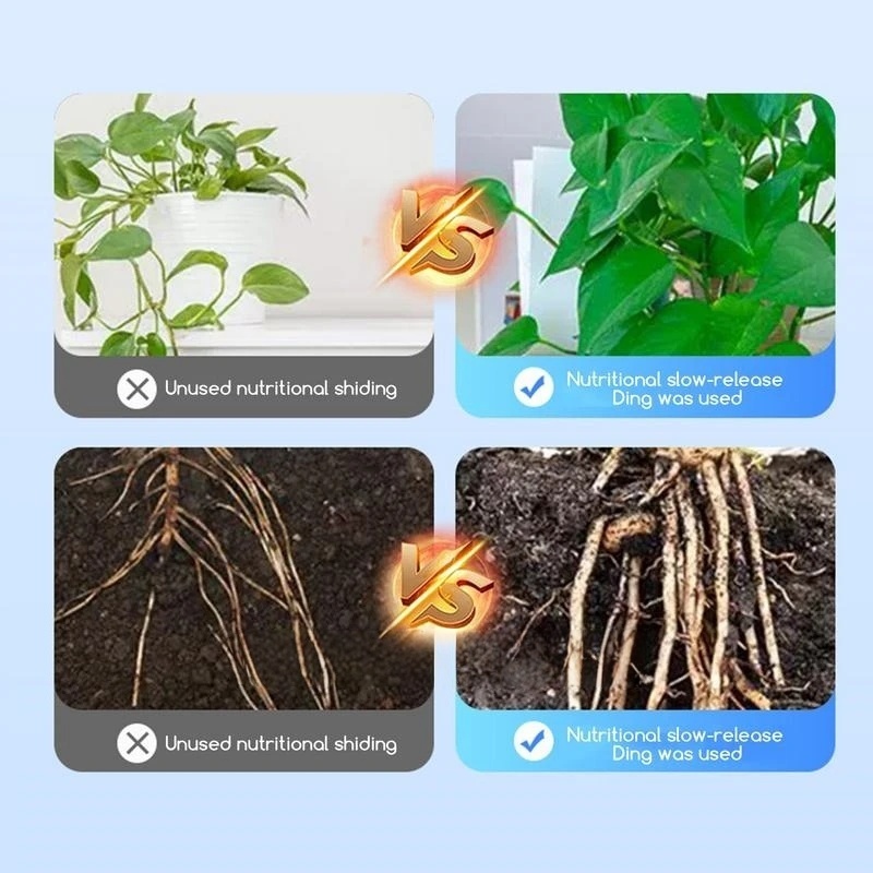 2 Beutel Wurzelhormoonpulver U – Rooting Hormone Powder Bewertung und Preis