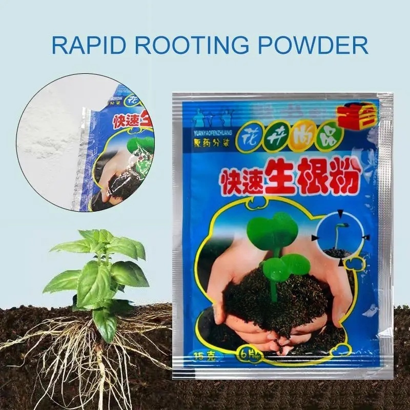5 stücke Schnelle Verwurzelung – Rooting Hormone Powder Bewertung und Preis