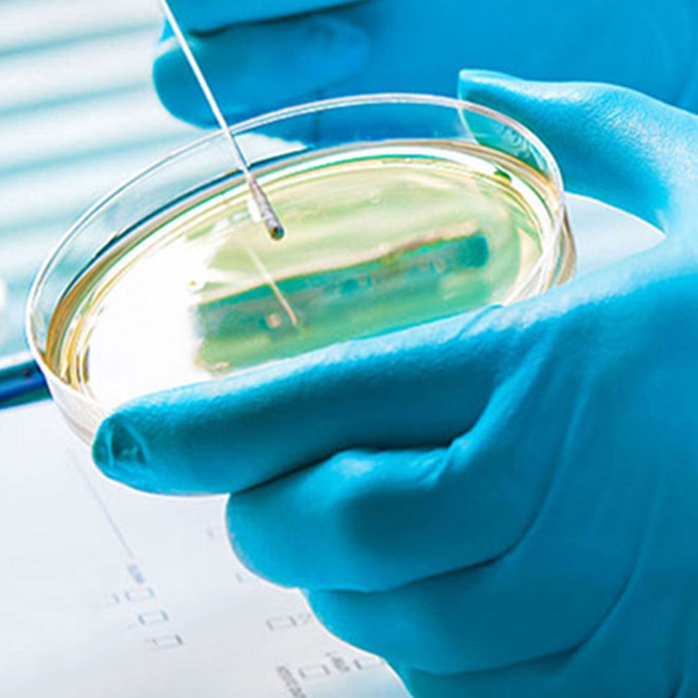 10 Stück Kunststoff-Petrischal – Agar Tissue Culture Bewertung und Preis