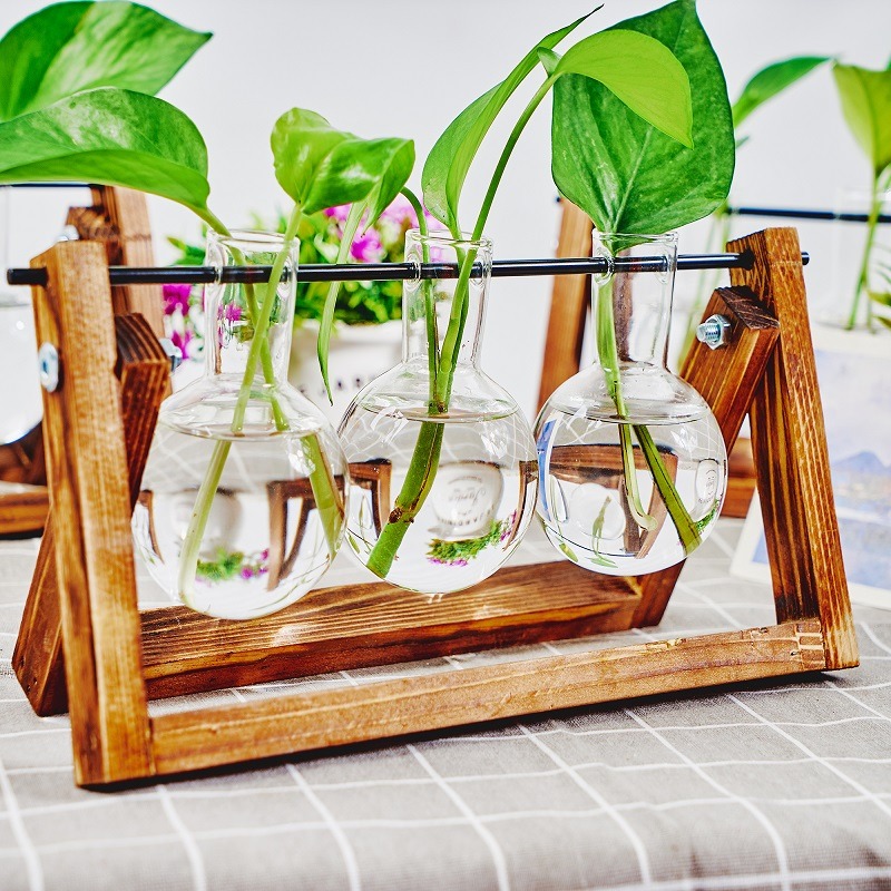 Tabletop Glas Pflanzer Vermehr – Propagation Station Vase Bewertung und Preis