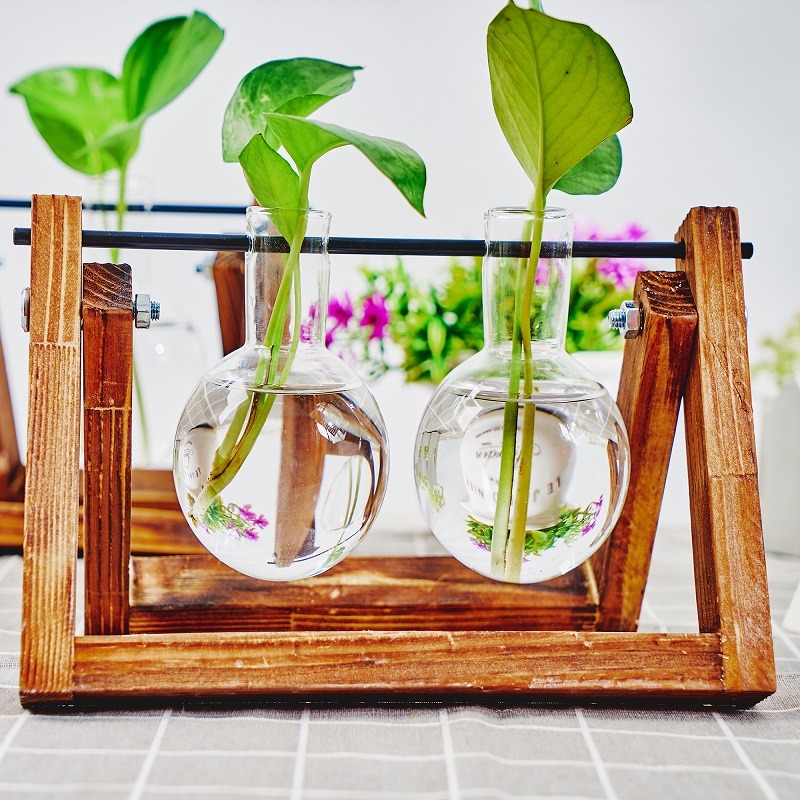 Tabletop Glas Pflanzer Vermehr – Propagation Station Vase Bewertung und Preis