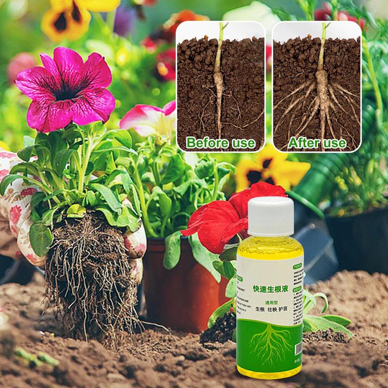 Wurzel-Booster für Pflanzen Sc – Root Stimulator Liquid Bewertung und Preis