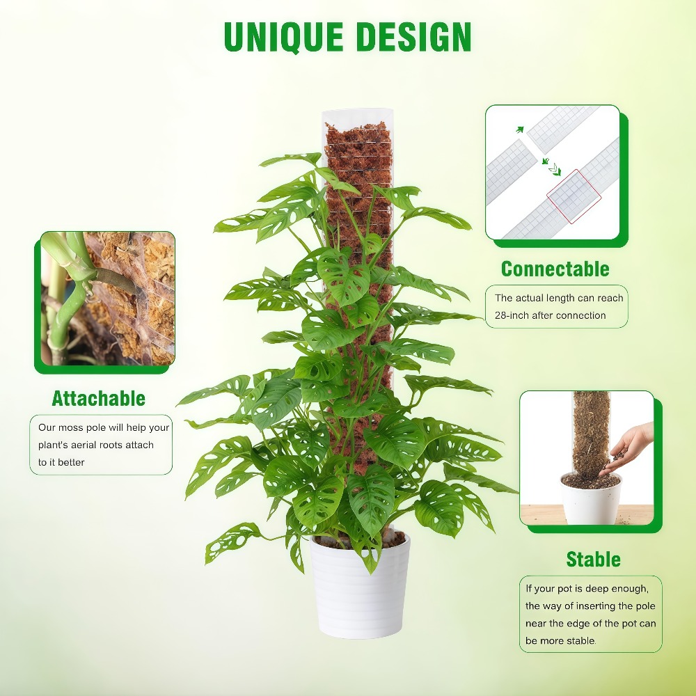 Moosstange aus Kunststoff, Pfl – Sphagnum Moss Dry Bewertung und Preis