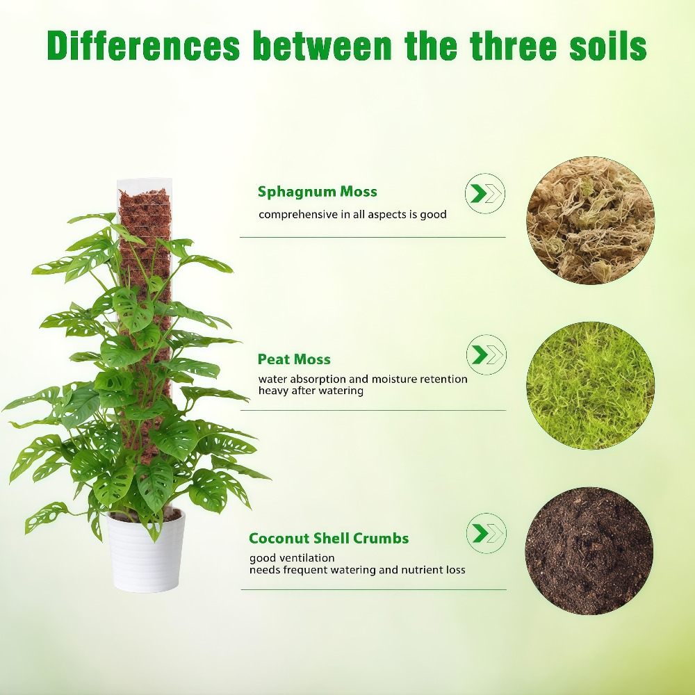 Moosstange aus Kunststoff, Pfl – Sphagnum Moss Dry Bewertung und Preis